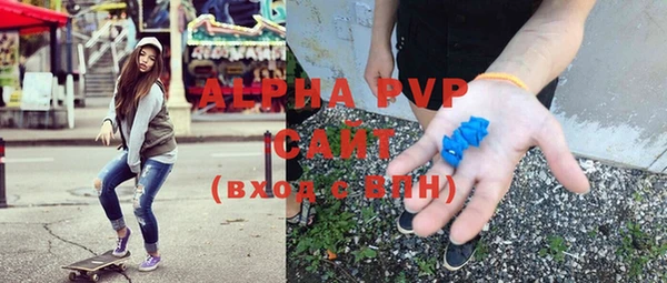 PSILOCYBIN Волосово