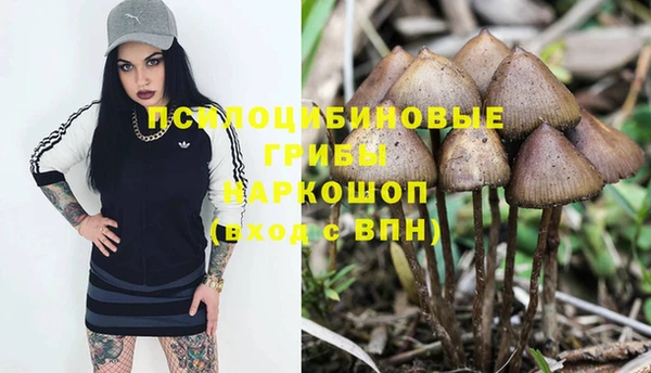 2c-b Верхний Тагил