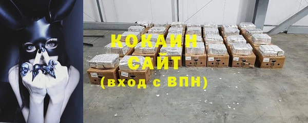 PSILOCYBIN Волосово